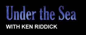 Under the Sea with Ken Riddick