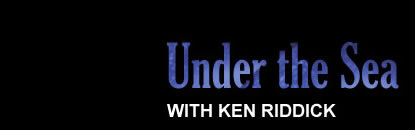 Under the Sea with Ken Riddick