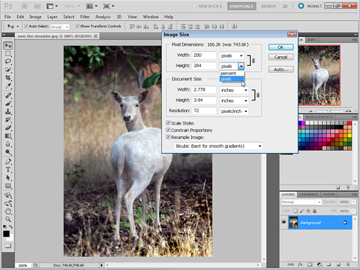 how to resize clipart in photoshop - photo #36