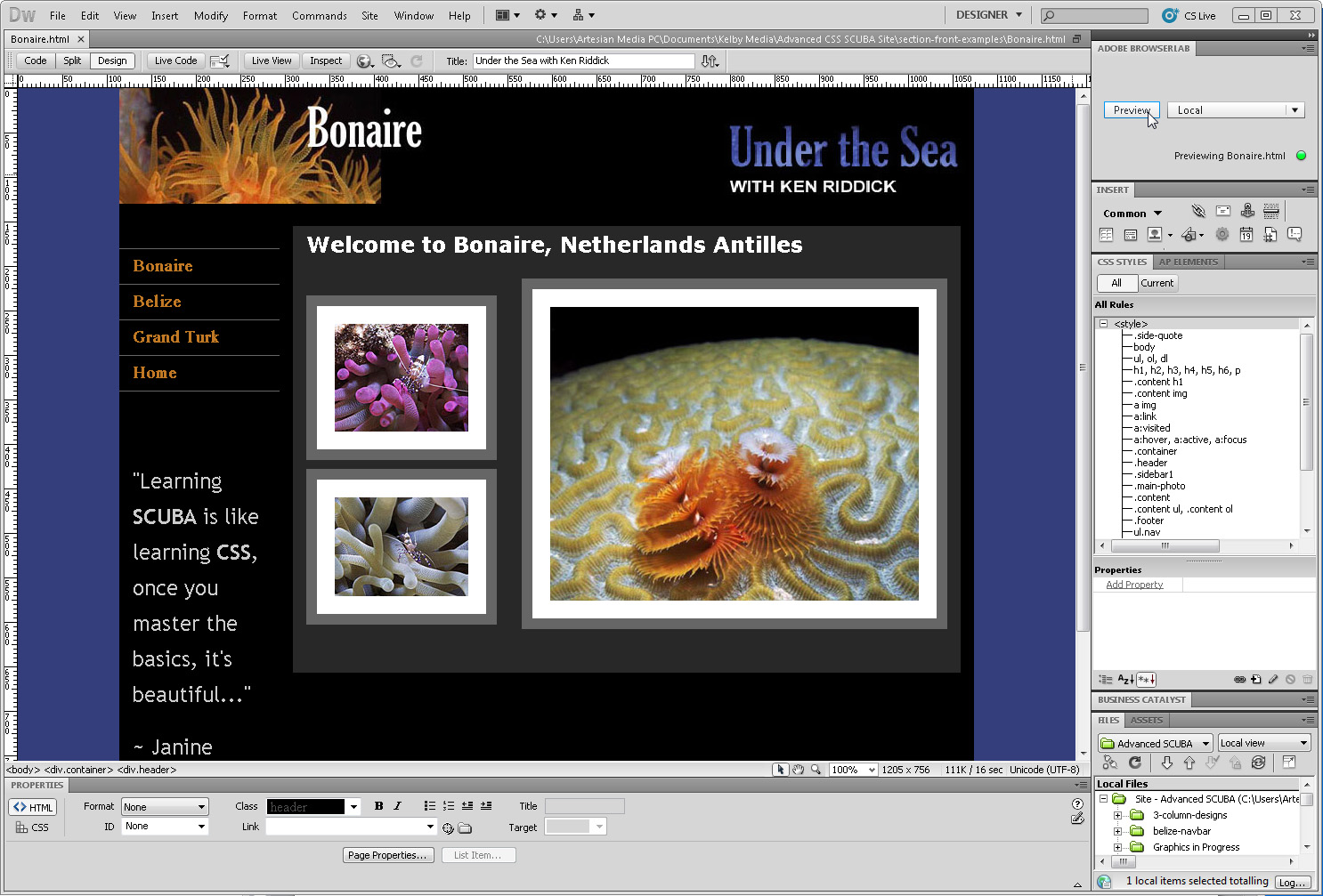 Tables and Page Layout (Adobe Dreamweaver CS5) Part 3