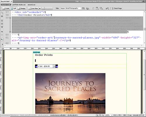 PASTE CODE INTO DREAMWEAVER FROM GOOGLE CHECKOUT