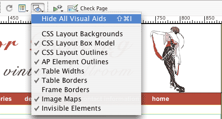 STEP 13 View or Hide CSS Visual Aids