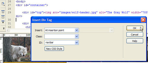 The Insert Div Tag Dialog