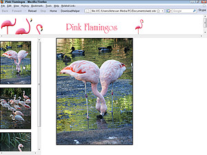pink flamingos in frames