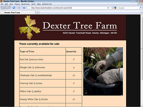Dexter Tree Farm uses a table to list Native Michigan trees for sale